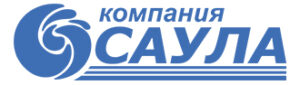 Компания Саула