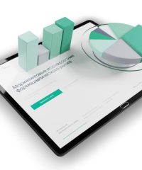 DSM Group