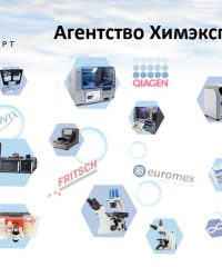 Химэксперт