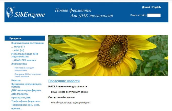 СибЭнзим