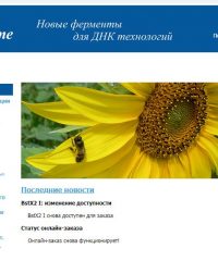 СибЭнзим
